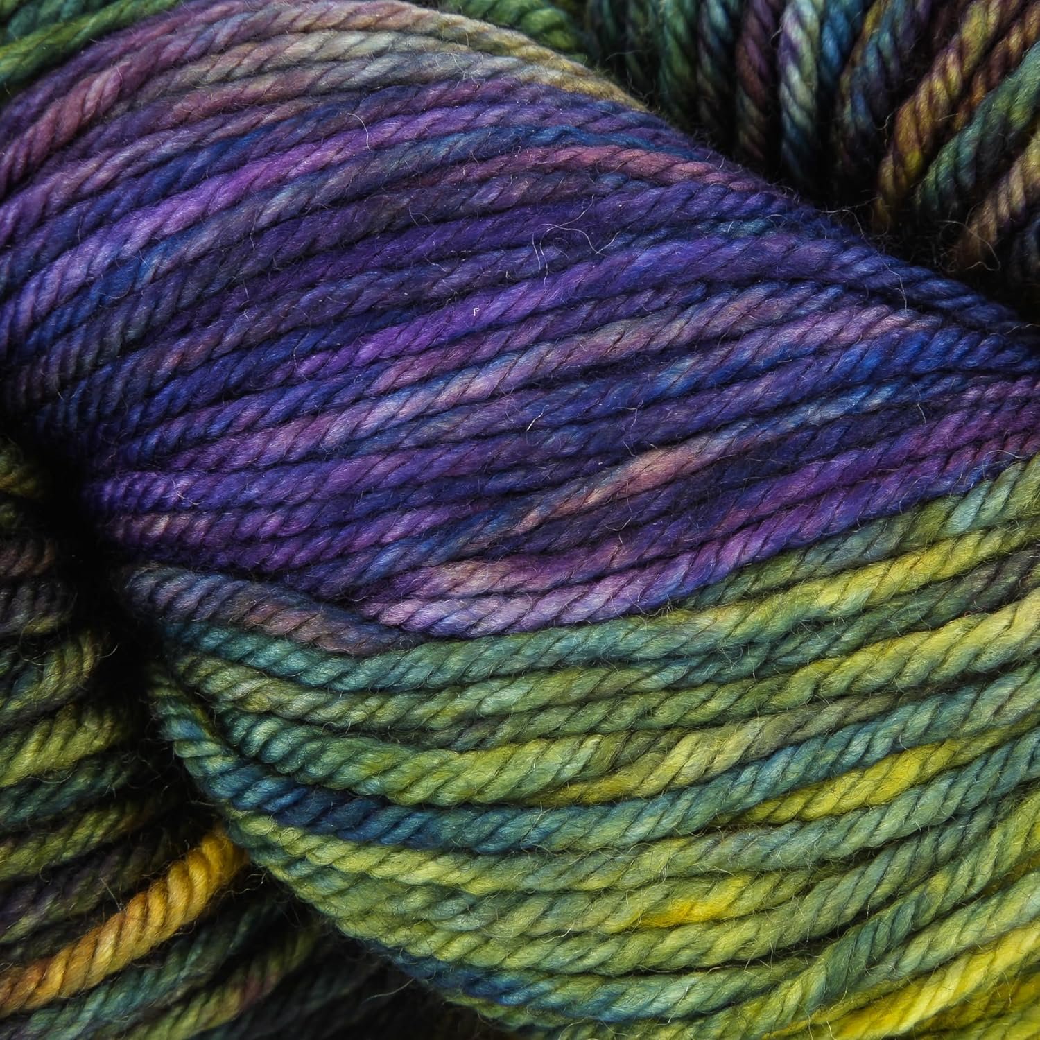Malabrigo Rios 870 Candombe Multicolor Worsted 4 Ply Yarn 100% Superwash Merino Wool 210 Yards 100 Grams